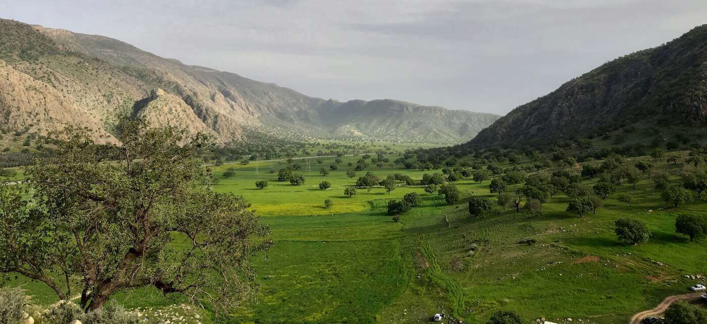 سروشتی دەوروبەری پڕۆژە